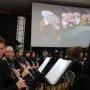 IMG 3653