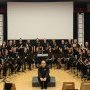IMG 3935bis